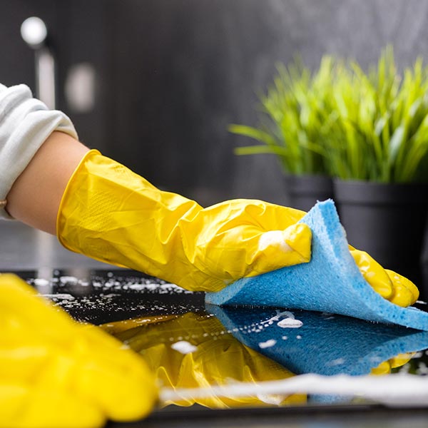 House Cleaning Professionals